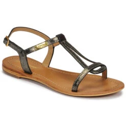 Les Tropéziennes Par M Belarbi Hamat